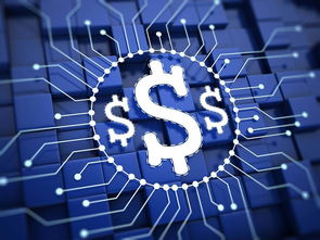 楊望 以數字貨幣破題普惠金融，數字技術服務實體經濟新路徑